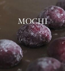 Moти 2.0. Mochi 2.0 Татьяна Силаева
