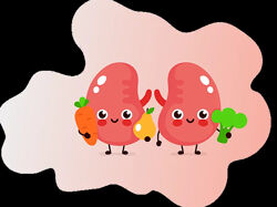 Елена Миргородская Набор курсов Миома Детокс печени Почки Фунготерапия