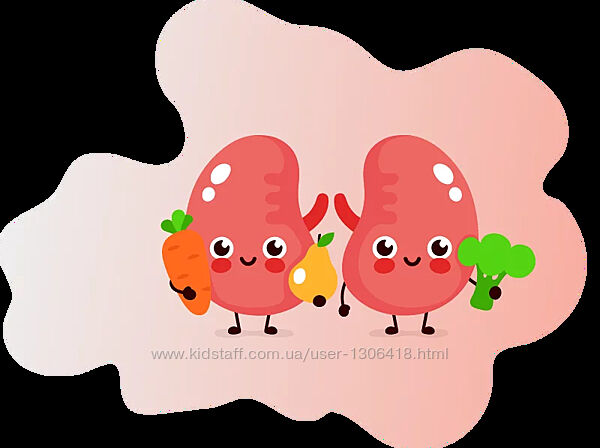 Елена Миргородская Набор курсов Миома Детокс печени Почки Фунготерапия