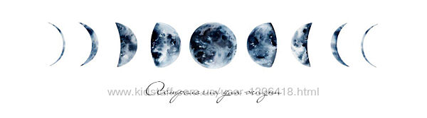 Астрология для всех Станислава Бояркина