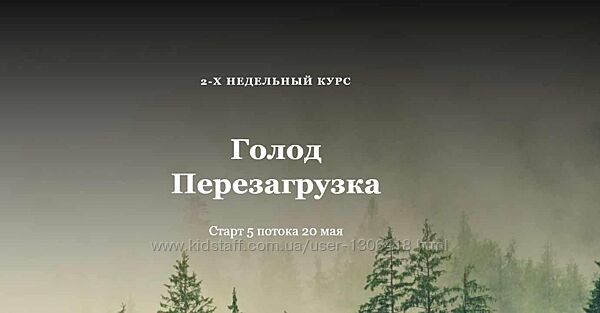 Голод Перезагрузка Алисья Янг