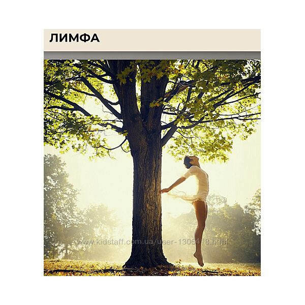 Лимфа. Тариф Расширенный Виктория Орлинская
