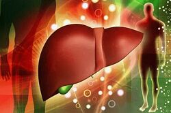 Наталья Хаустова Схема поддержки 2 фазы детокса печени с обновлениями 2024 