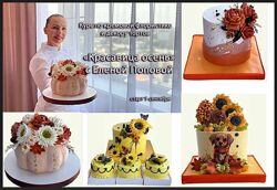 Онлайн мини-курс Путь к сердцу мужчины Елена Попова