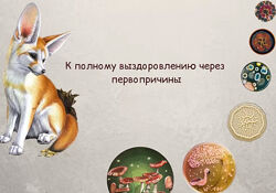 К полному выздоровлению через первопричины Алисья Янг