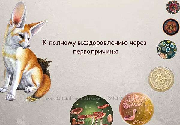 К полному выздоровлению через первопричины Алисья Янг