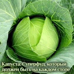 Катя Янг Капуста суперфуд, который должен быть на каждом столе 2024