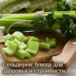 Катя Янг Сельдерей блюда для здоровья и стройности 2024