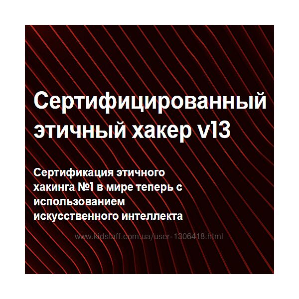 EC-Council CEH v13. Этичный хакинг и тестирование на проникновение