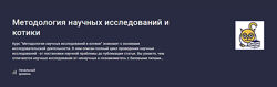 Владимир Савельев Stepik Методология научных исследований и котики 2024