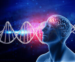 Юджиния Квант Эволюция мозга 1 семестр 2019