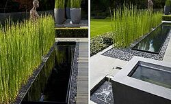 Ксения Бандорина Новые тренды в ландшафтном дизайне. Сезон 2025 2025