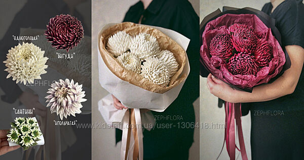 Zephflora Хризантемы со вкусом из зефира