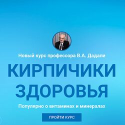 Кирпичики здоровья Владимир Дадали