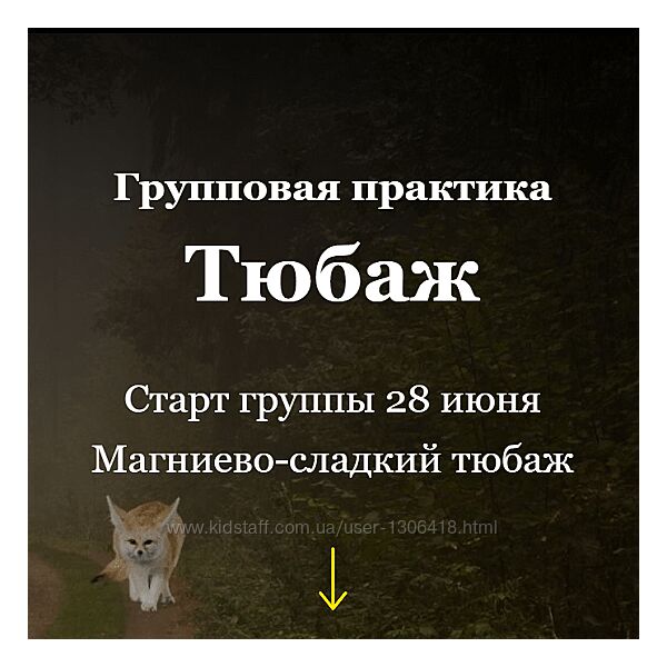 Групповая практика Тюбаж Алисья Янг