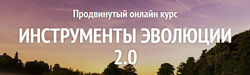 Инструменты эволюции 2.0 Алена Старовойтова