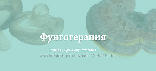 Елена Миргородская 8 разных Миома Детокс печени Почки Фунготерапия