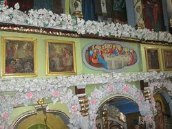 #7: Amanita muscaria