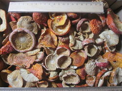 #8: Amanita muscaria