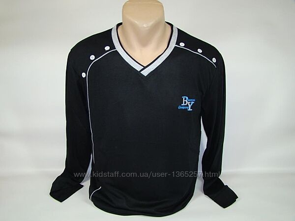 Реглан мужской C&K Collection хлопок XL-3XL код 9033