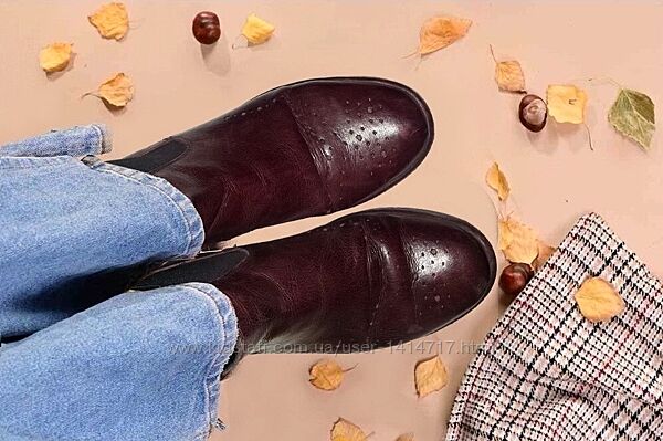 Женская обувь Кожаные Бордовые ботинки челси кожані черевики челсі 38 разм.