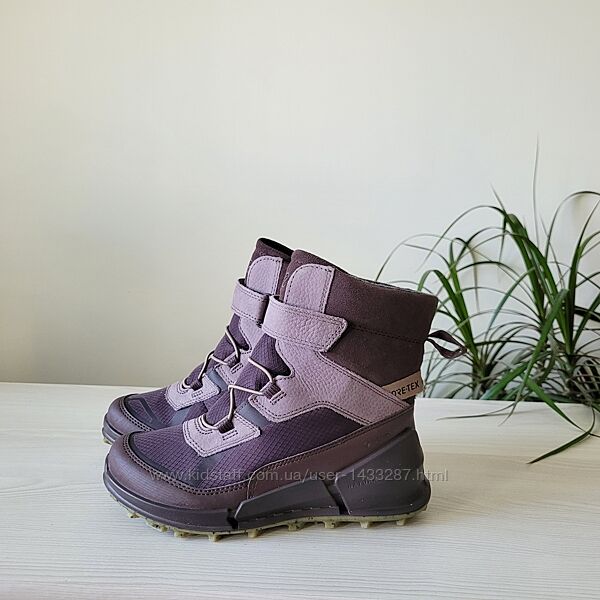 Черевики шкіряні Оригінал Ecco biom 711212 рр.34