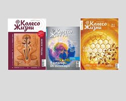 Колесо жизни тренинг саморазвитие психология коучинг