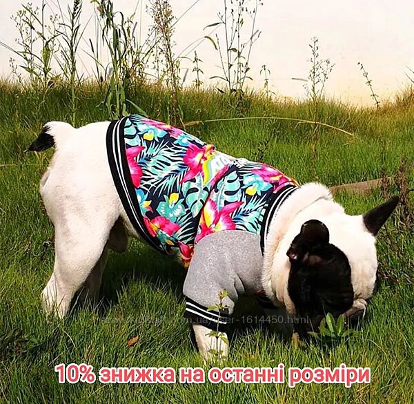 Куртка бомбер толстовка одежда для собак французского бульдога мопса