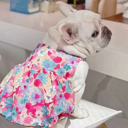 Платье сарафан одежда для собак французского бульдога мопса 
