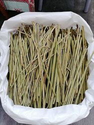 Сіно для гризунів гілочки топінамбуру і верби збір 2024 для шиншил, свинок