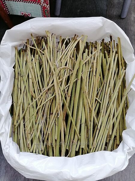 Сіно для гризунів гілочки топінамбуру і верби збір 2024 для шиншил, свинок