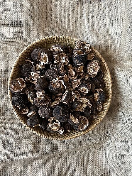 Колотий Чорний Американський горіх, ядро. Black walnut kernels.