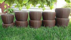 #2: Темно-коричневий 