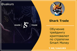 Shark Trade Обучение трейдингу криптовалют по стратегии Smart Money 