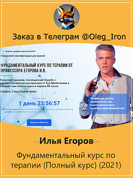Илья Егоров  Фундаментальный курс по терапии Полный курс 2021