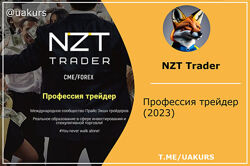 NZT Trader  Профессия трейдер 2023