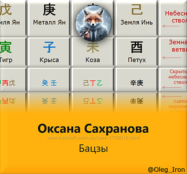 Оксана Сахранова  Ба-Цзы для Начинающих  Продвинутый ур Анализ характера