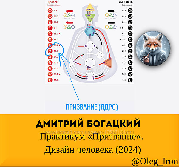  Дмитрий Богацкий   Практикум Призвание. Дизайн человека 2024