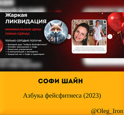  Софи Шайн  Азбука фейсфитнеса 2023