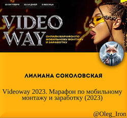 Лилиана Соколовская Videoway 2023. Марафон по мобильному монтажу и заработ