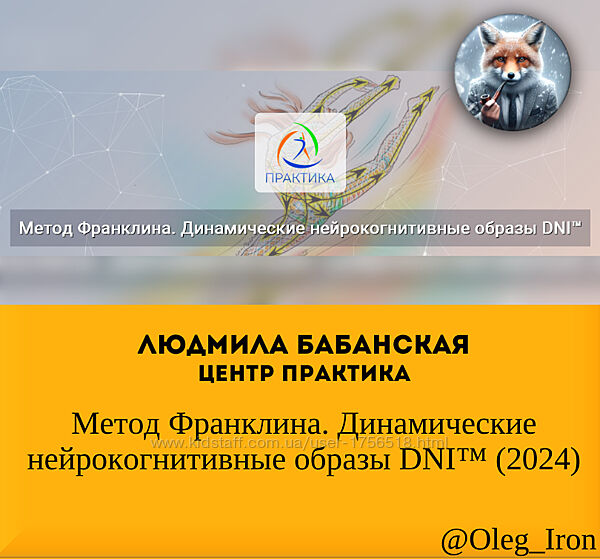 Людмила Бабанская Метод Франклина. Динам нейрокогнитивные образы DNI 24