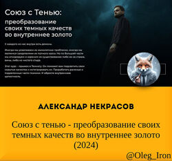 Александр Некрасов Союз с тенью - преобразование своих темных качеств 2024