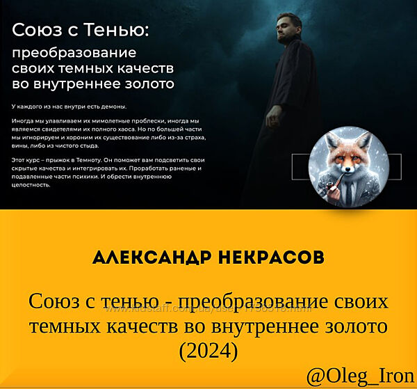 Александр Некрасов Союз с тенью - преобразование своих темных качеств 2024
