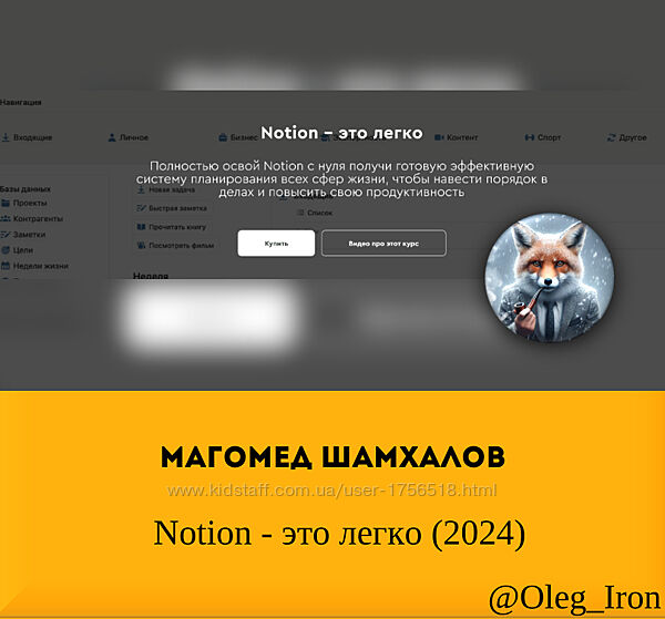 Магомед Шамхалов  Notion - это легко 2024