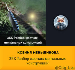 Ксения Меньшикова 3БК Разбор жестких ментальных конструкций