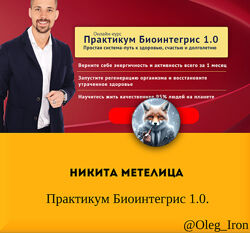 Никита Метелица Практикум Биоинтегрис 1.0.