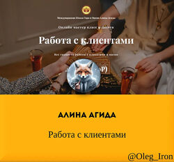  Алина Агида  Работа с клиентами