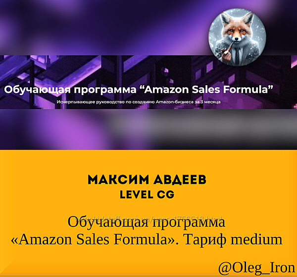 Максим Авдеев Обучающая программа Amazon Sales Formula. Тариф medium  