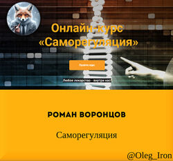 Роман Воронцов Саморегуляция