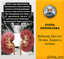 Елена Корнилова Вебинар Цистит, Почки, Камни в почках